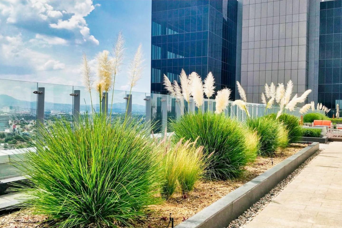 Luxury Penthouse 1br Polanco Apartment