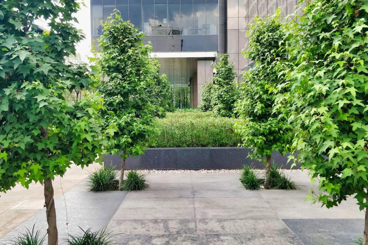 Apartment Luxury Penthouse 1br Polanco